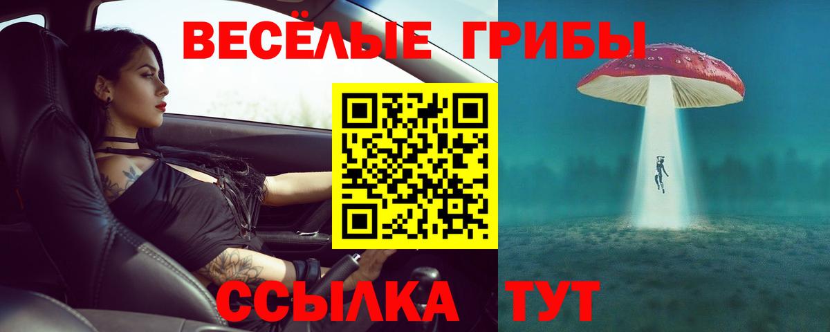 Кузнецк  Псилоцибиновые грибы Magic Shrooms  что такое   Вход с VPN 