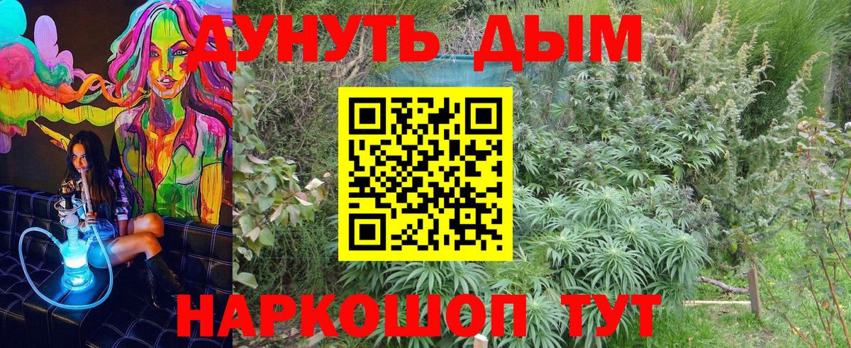 Каннабис Amnesia  Вход с VPN  Кузнецк  Шишки марихуана сатива  Каннабис OG Kush 